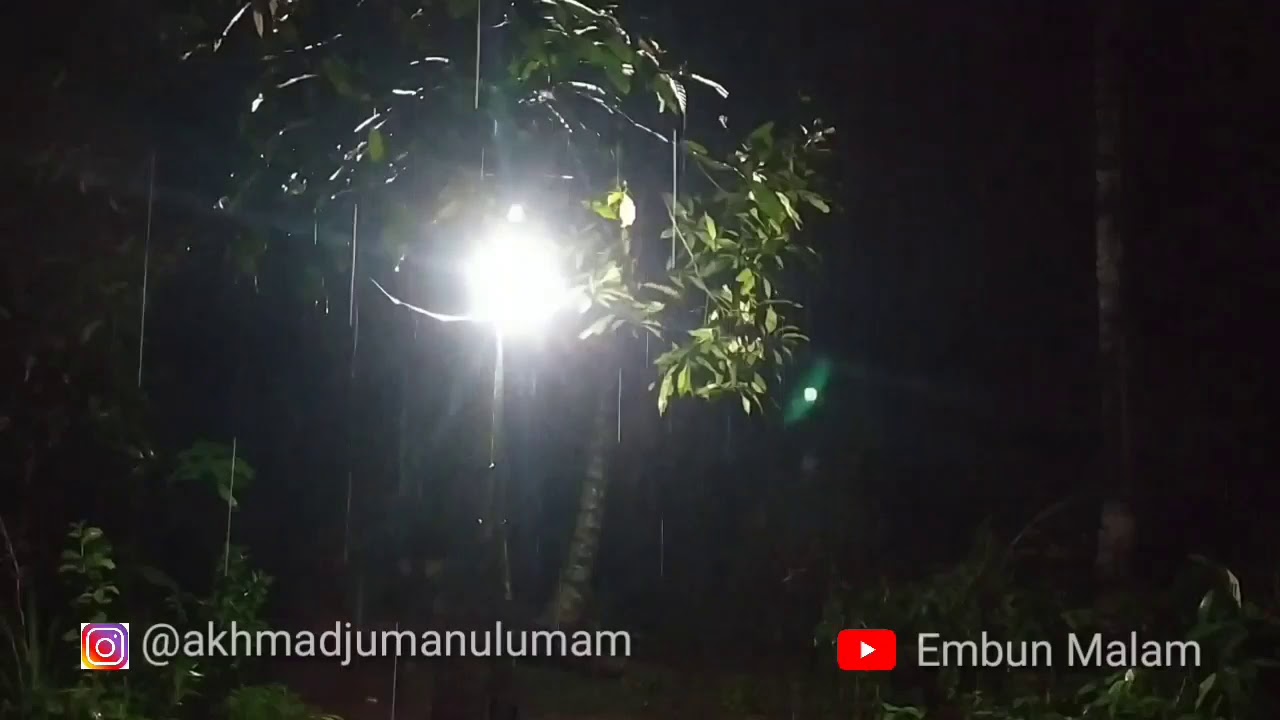 Suara hujan dan katak malam hari  di Pedesaan