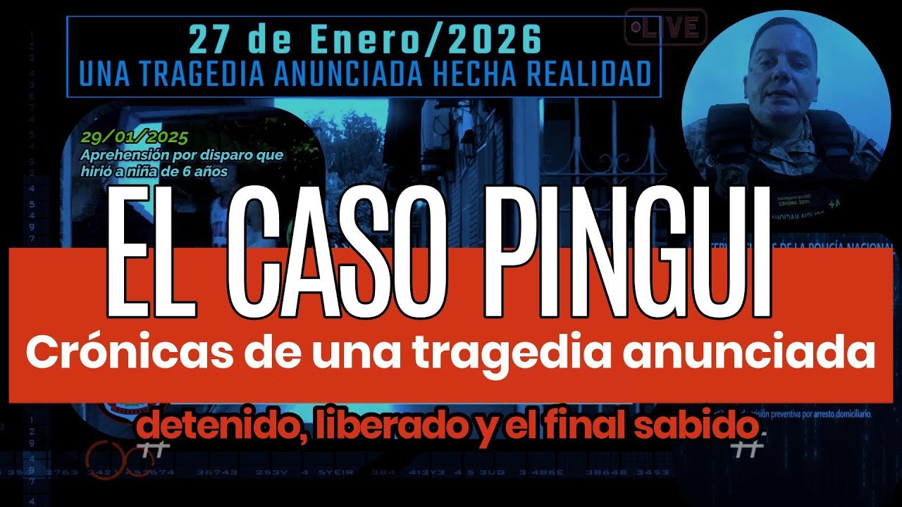 &ldquo;Cr&oacute;nicas de una tragedia anunciada: el caso Ping&uuml;i&rdquo;
