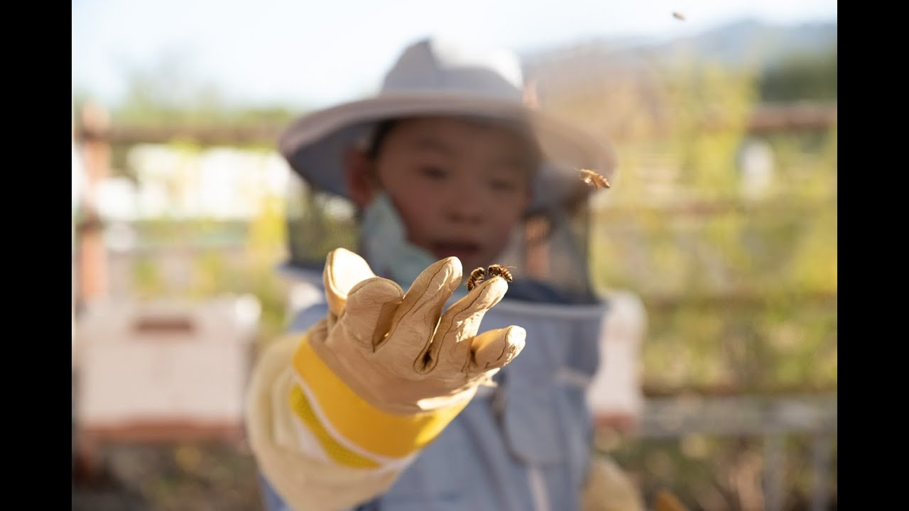 Hatta Honey Bee Discovery Center