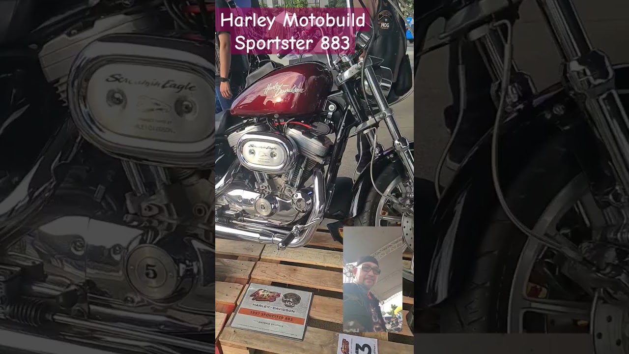 1997 Sportster 883 Custom #motobuild #harley #sportster