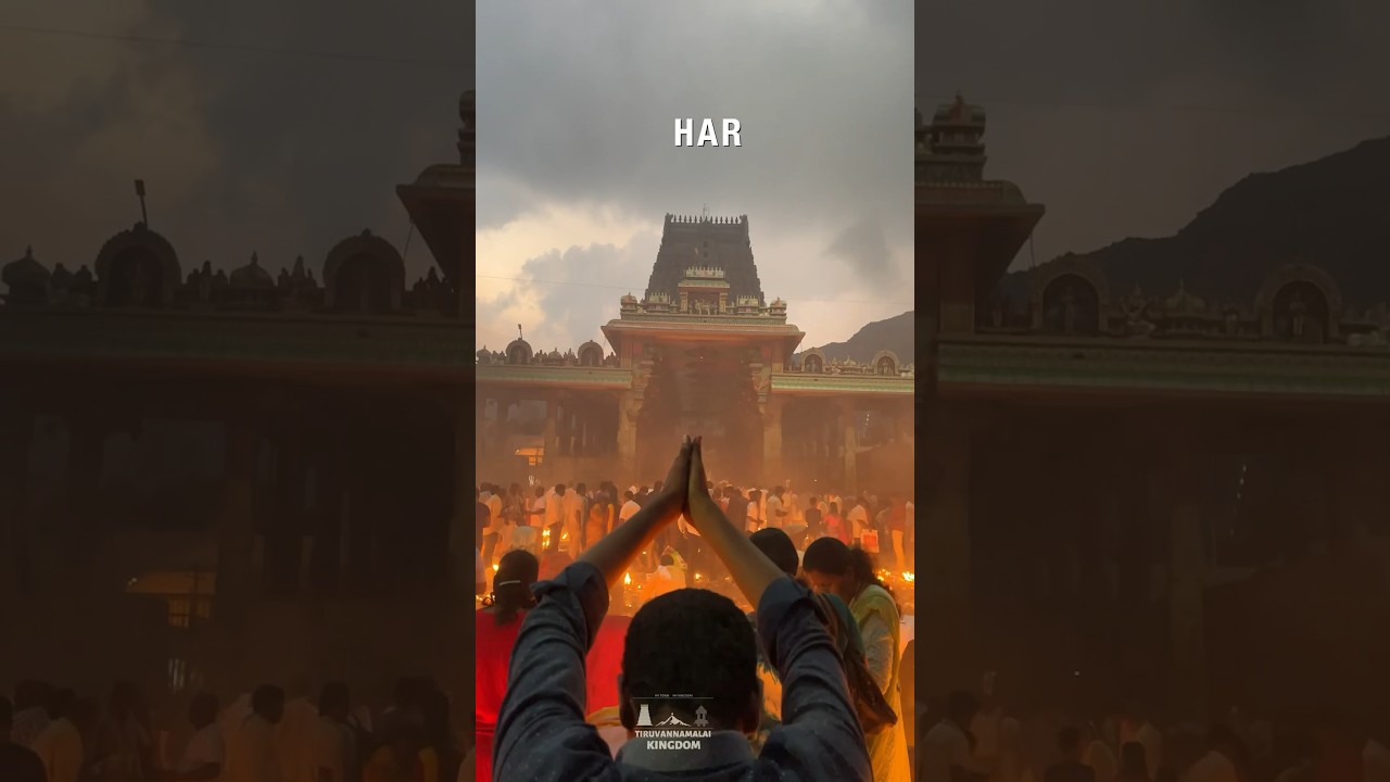 ArunachalaShiva Vibes🔱 #tiruvannamalai #arunachaleswarartemple #lordshivawhatsappstatus
