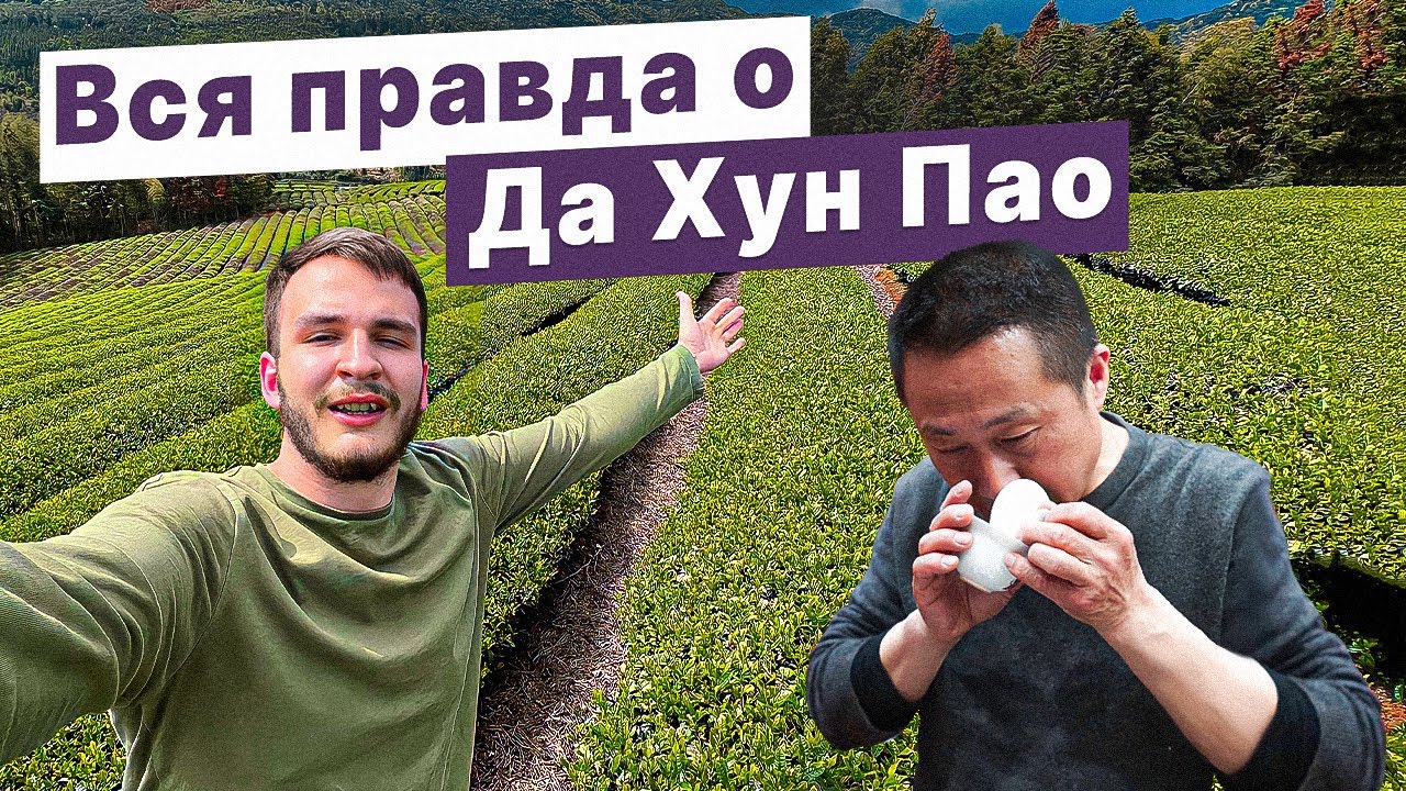 Вся правда о Да Хун Пао и Уишаньских улунах | поездка в Уи шань | что такое утёсные улуны