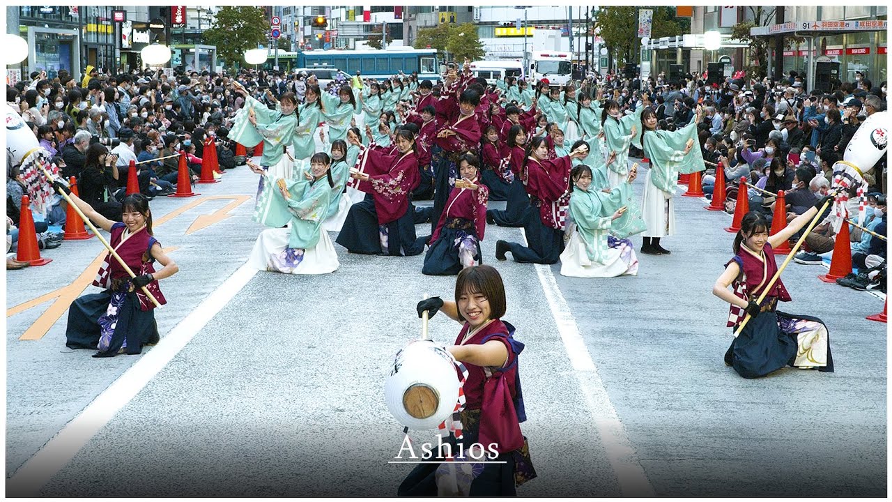 【4K】早稲田大学東京花火 2022 「うらら」  [東京よさこい前夜祭2022 アゼリア通り会場]  Tokyo Hanabi 2022 ''Urara''