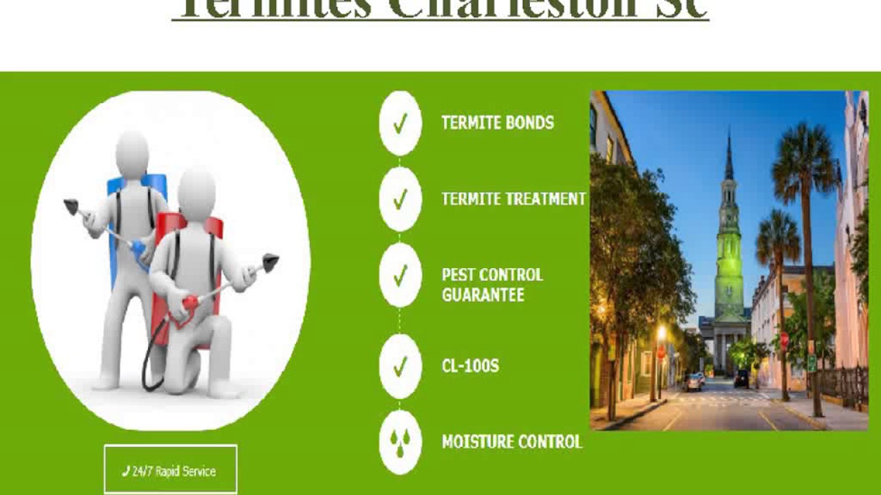 Charleston, SC Termite Pest Control & Termite Treatment