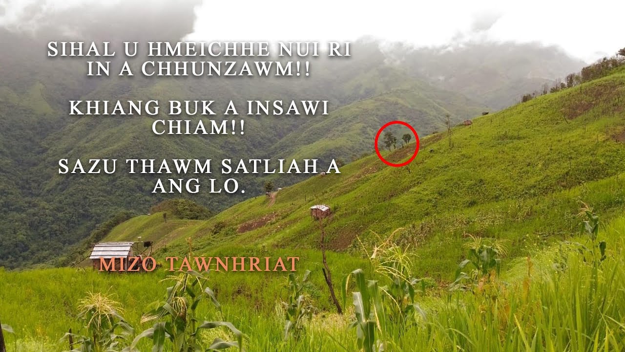 Sihal u chu hmeichhe nui| Sazu nge thlahrang| Mizo tawnhriat