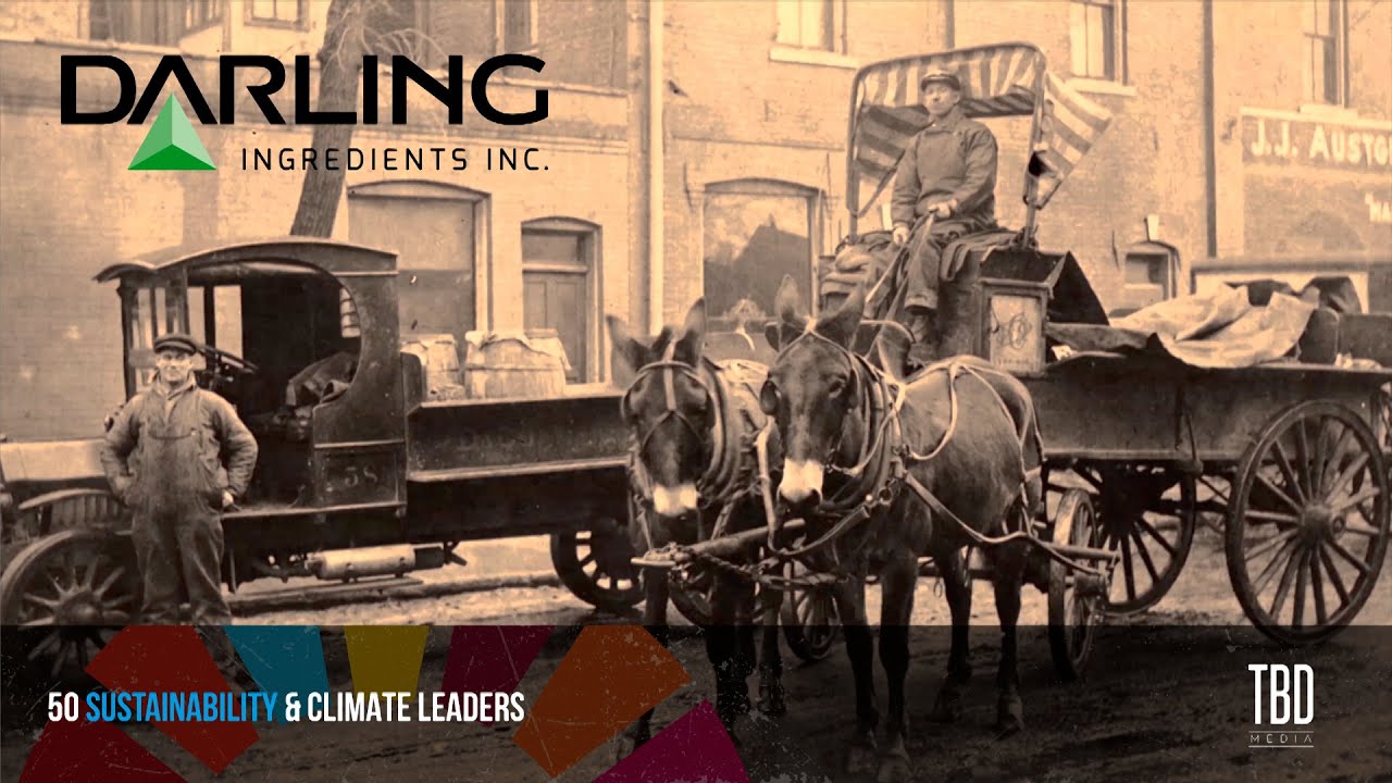 Darling Ingredients: The Greenest Company On The Planet