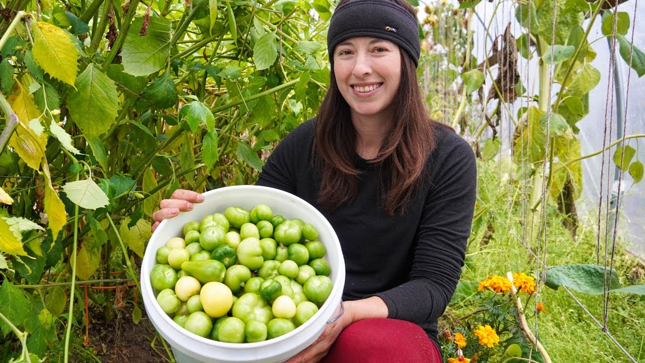 Summer's Hard Work Pays Off | Green Salsa and Tomato Sauce