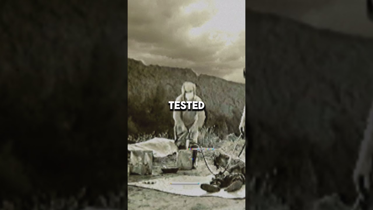The Most Inhumane Biological Weapon Ever Used in War!