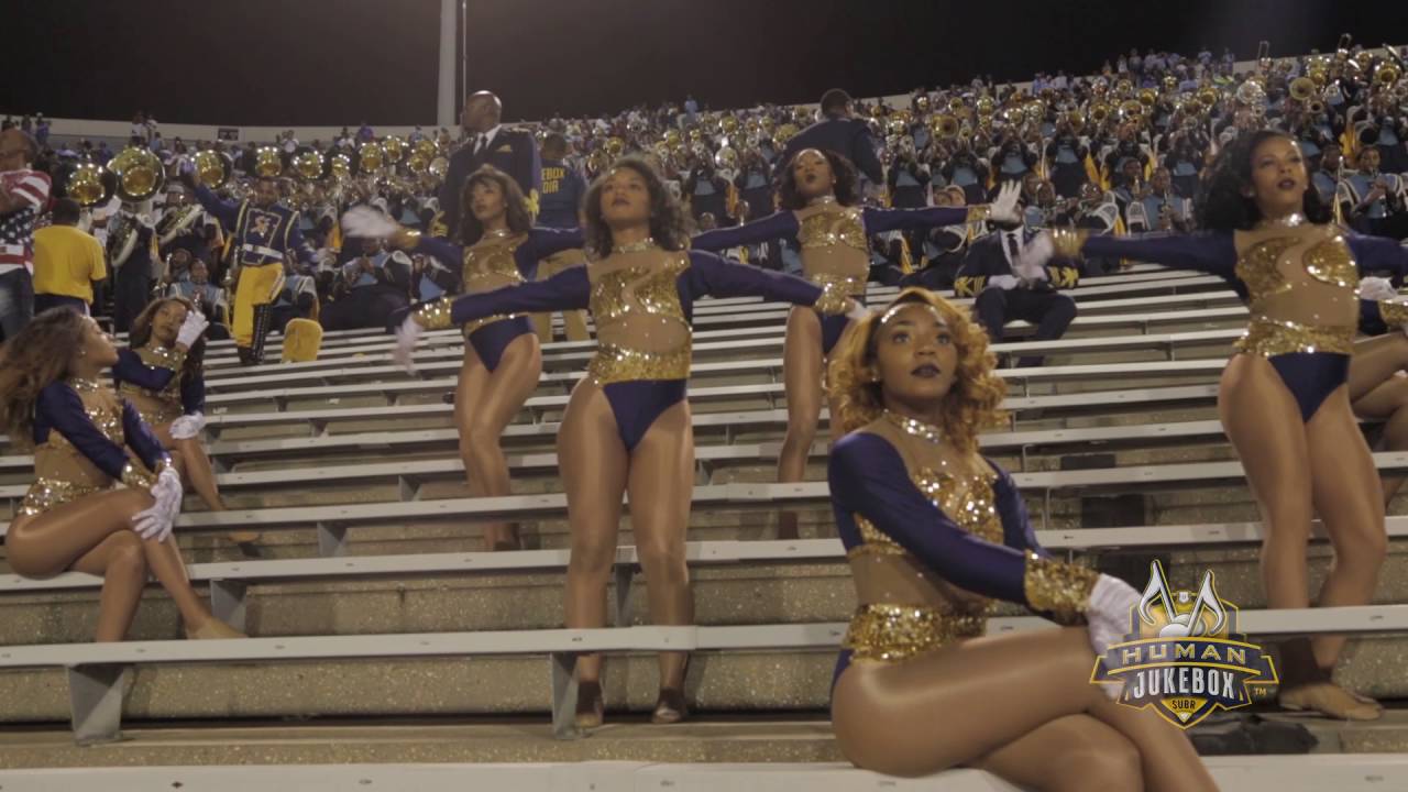 Southern University Human Jukebox 2016 