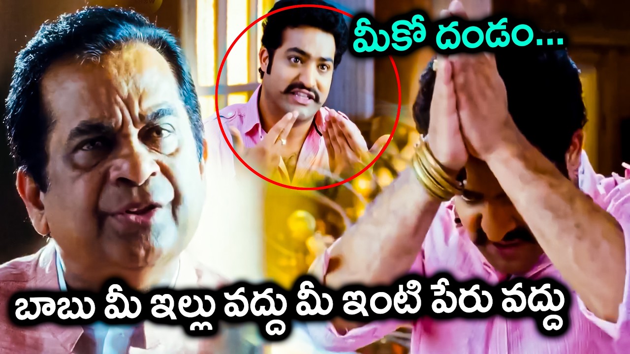 Brahmanandam And Jr NTR Ultimate Comedy Scene || Latest Movie Scenes || Matinee Show