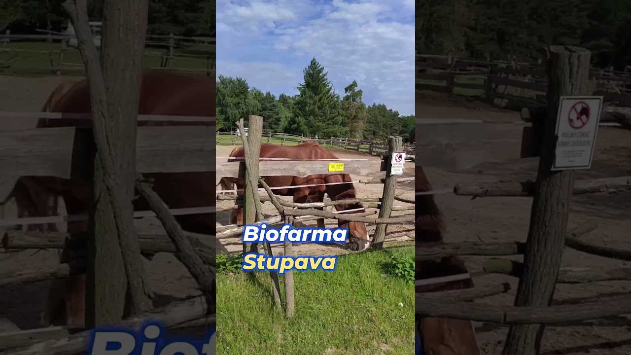 Biofarma Stupava