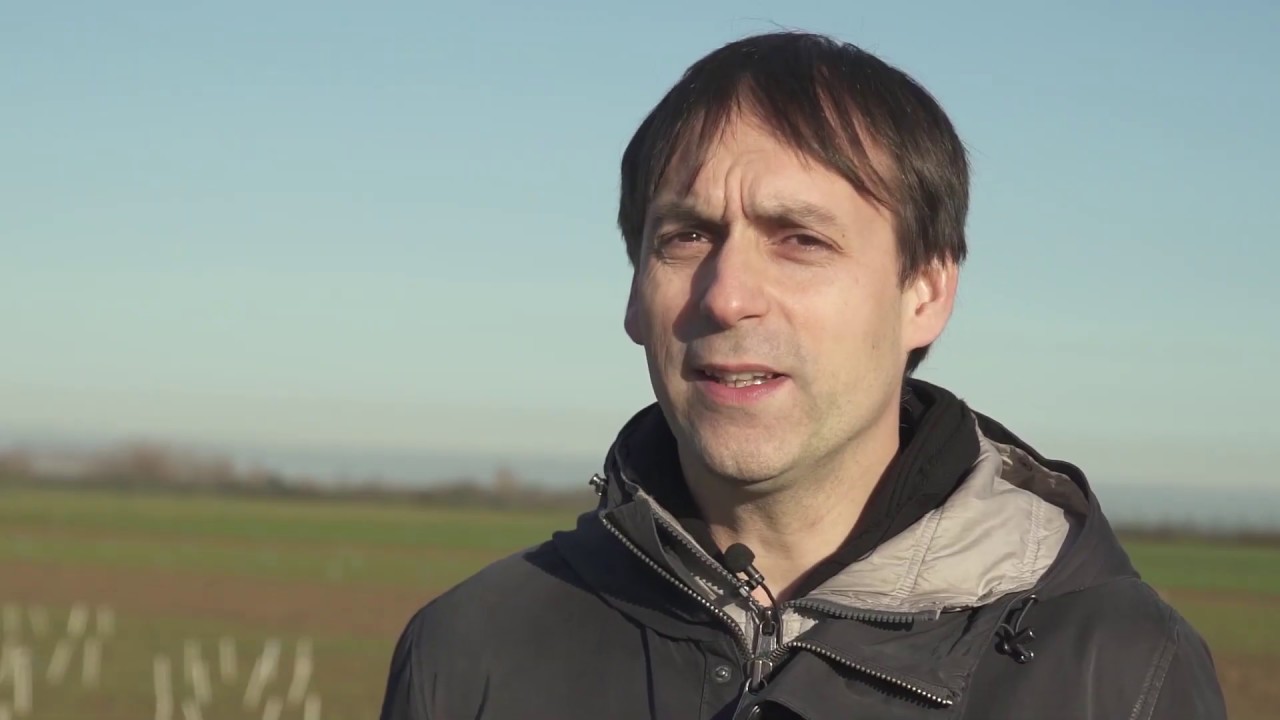 Blé tendre : qu’apportent les données agriculteurs dans l’évaluation variétale ? - ARVALIS-infos.fr