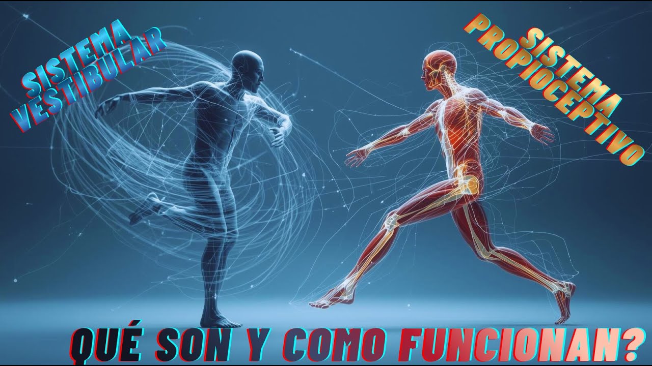 14 SISTEMA VESTIBULAR Y SISTEMA PROPIOCEPTIVO