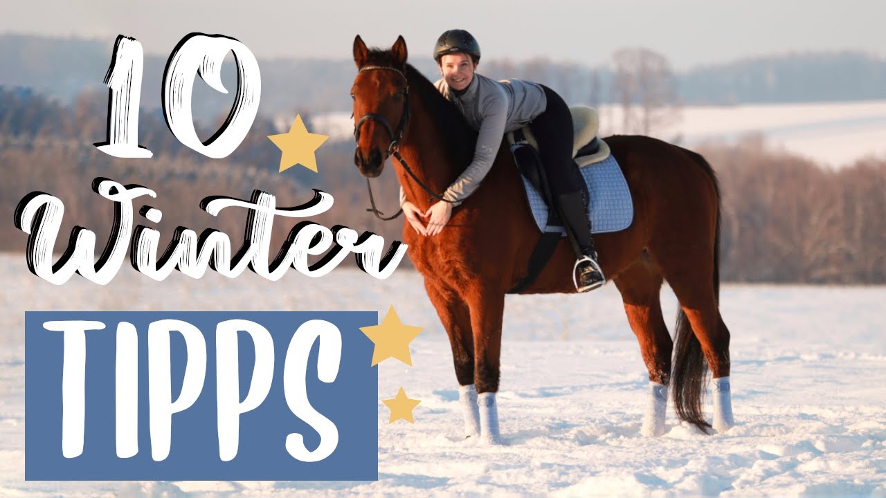 STALLTIPPS FÜR DEN WINTER❄️ | Vic.adventure