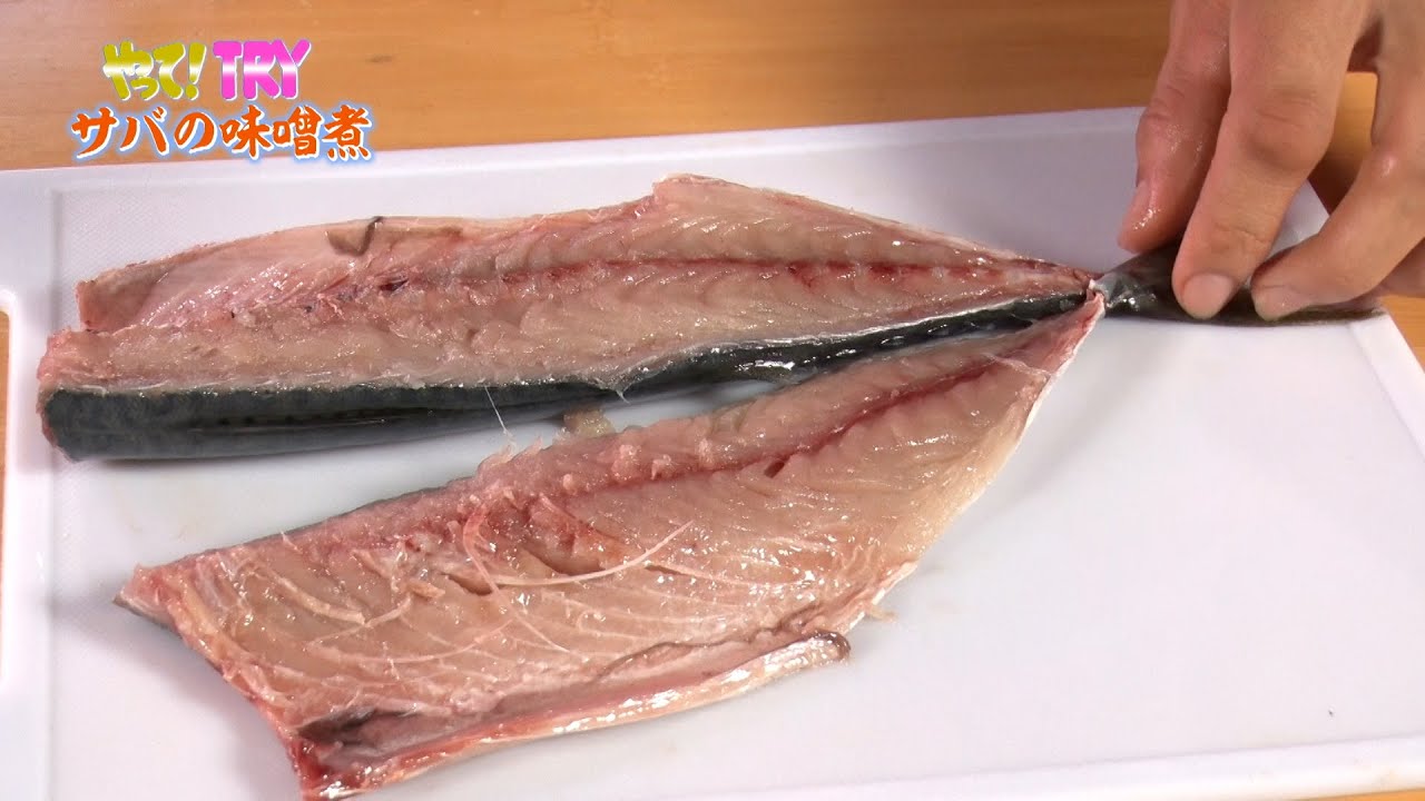 【やって！TRY 挑戦者編】サバの味噌煮をつくる