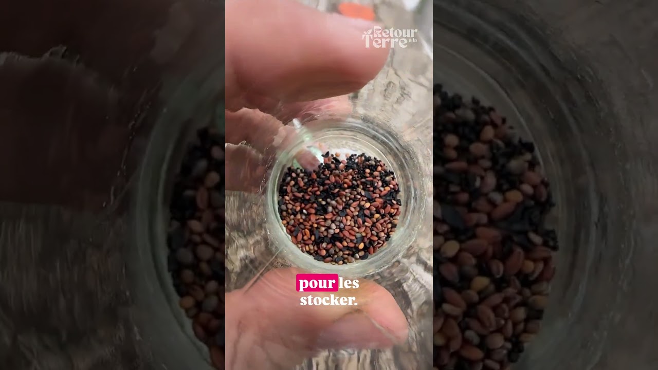 Ne jette plus jamais tes pots d’épices 🌿♻️ 