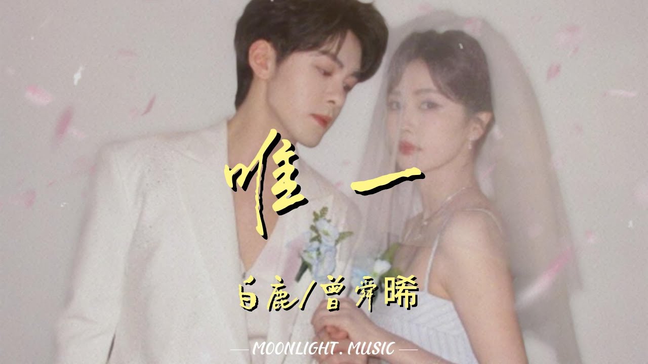 唯一 - 白鹿/曾舜晞『爱本质无异 是因为人多得拥挤 你不想证明 证明我是你唯一』【动态歌词】#流行歌曲#新歌更新 #临江仙