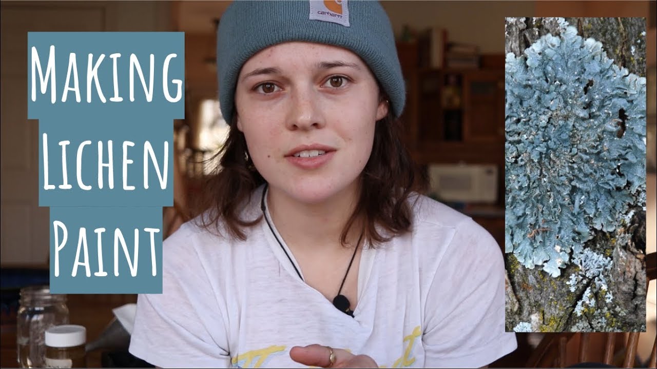 Natural Paints Episode 1: Lichens