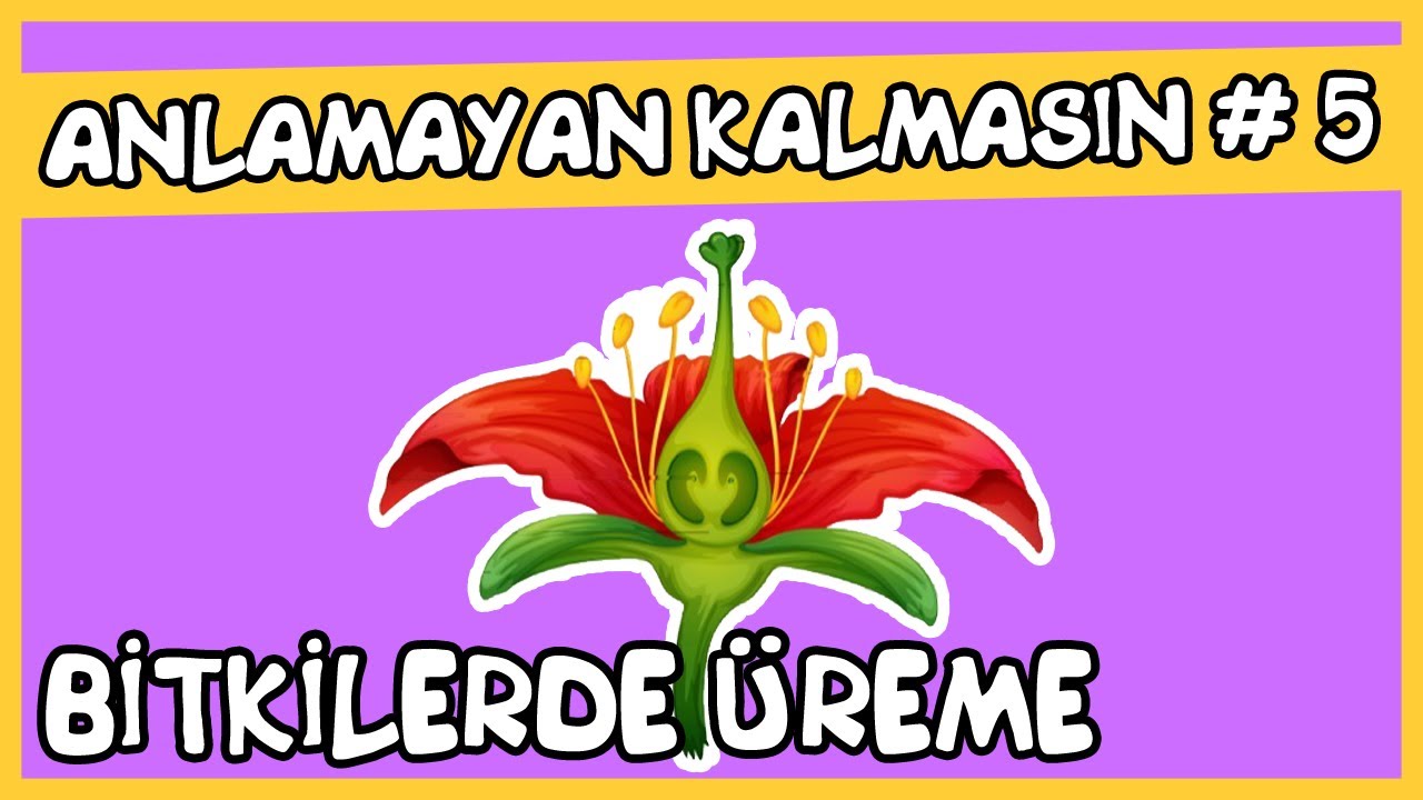Anlamayan Kalmasın #5 Bitkilerde Üreme