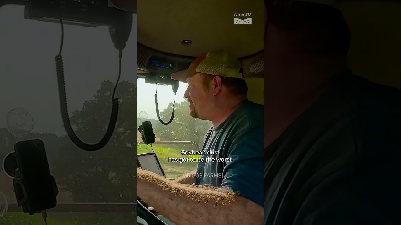 Which grain dust do you hate the most &mdash; wheat, soybean, or corn dust?