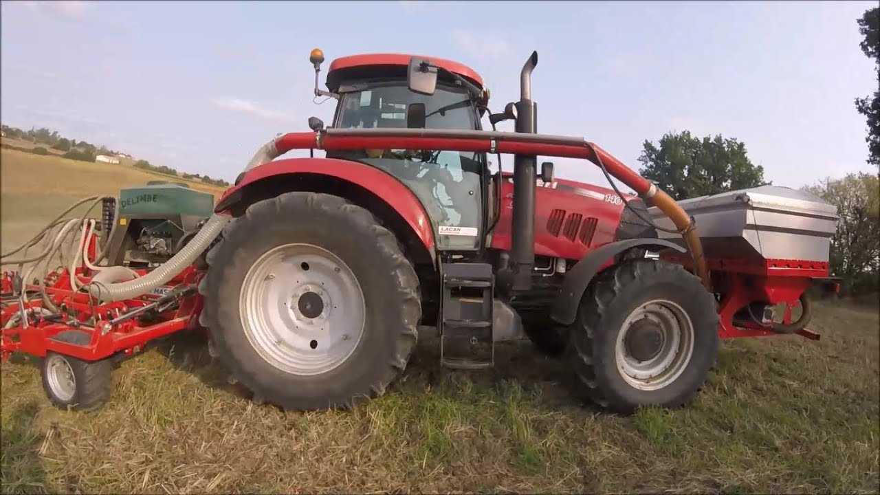 semis des colza avec plante compagne