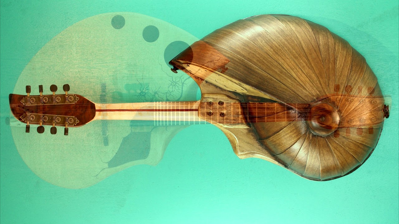 mandolin. Handmade unique design. Custom build.