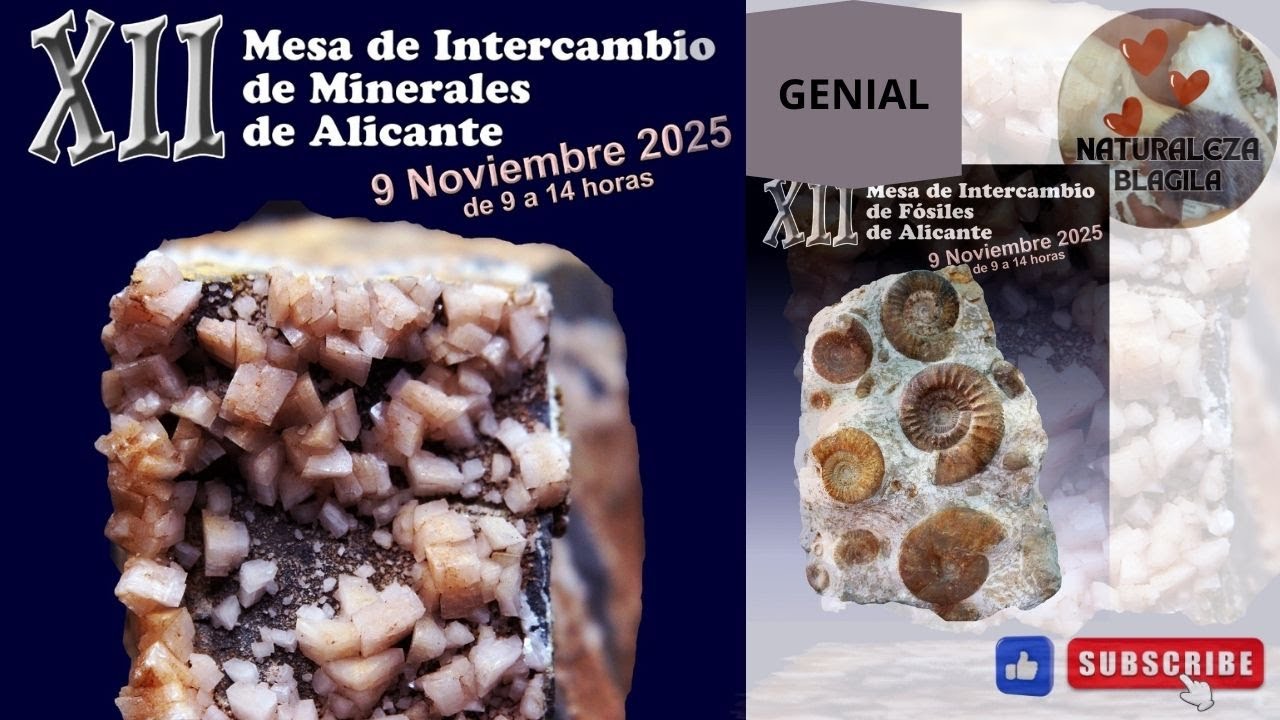 XII Feria de intercambio de minerales y fósiles de Alicante