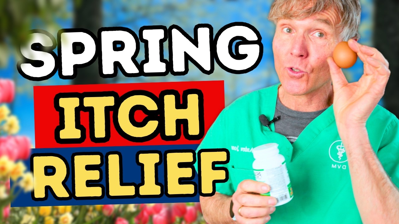 Seasonal Allergies in Dogs: Natural Options I&rsquo;d Start With