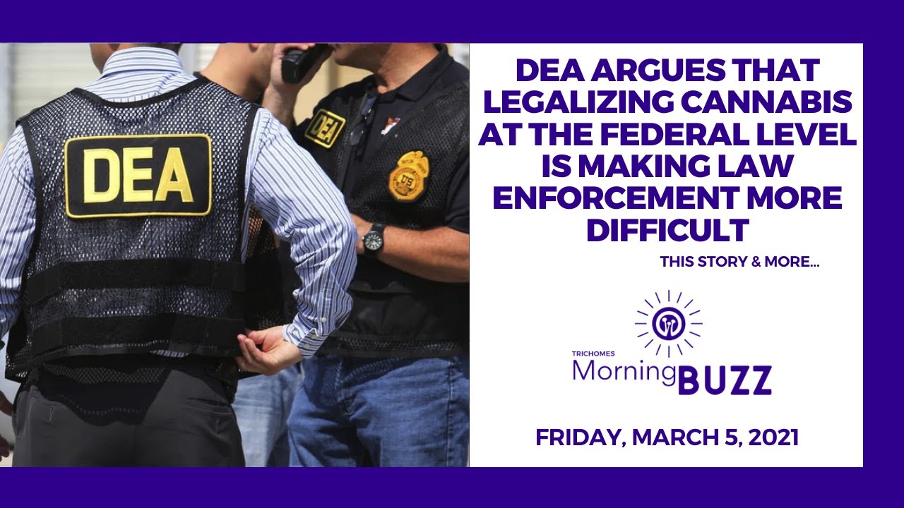 DEA Argues Legalizing Cannabis is Making Law Enforcement More Difficult | TRICHOMES Morning Buzz