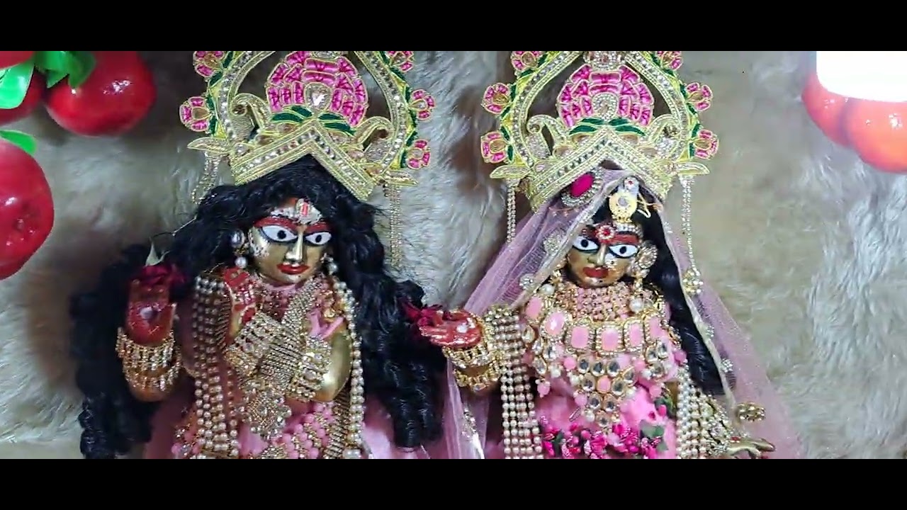 पापमोचिनी एकादशी पूजन के सुंदर दर्शन कीजिए और संत अवज्ञा का क्या फल होता है सुनिएगा। #love #viral 