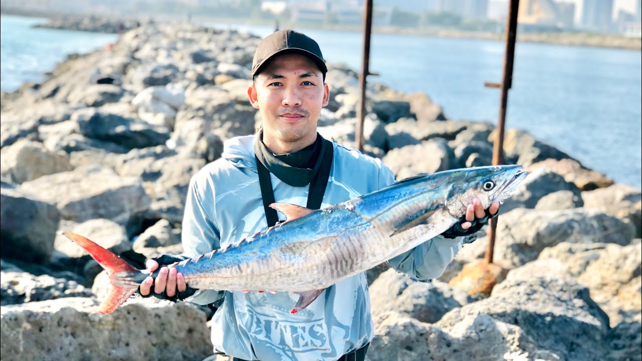 6kg King Mackerel Full fight | Shore Fishing | Best Fishing spot UAE | Al Zorah Ajman