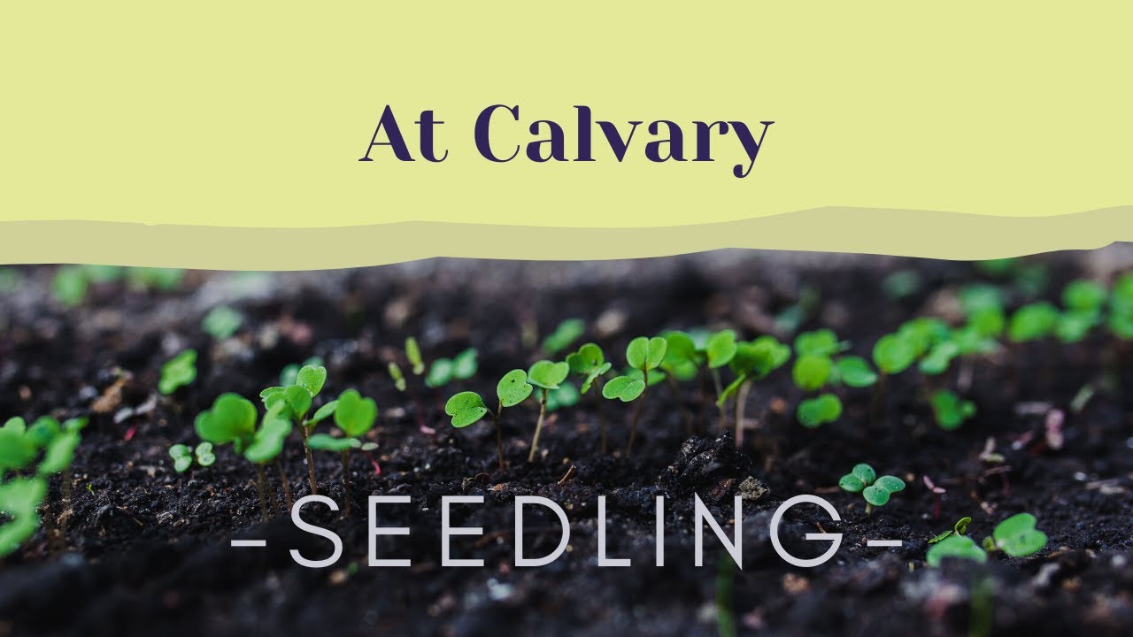 At Calvary | OasisForAll
