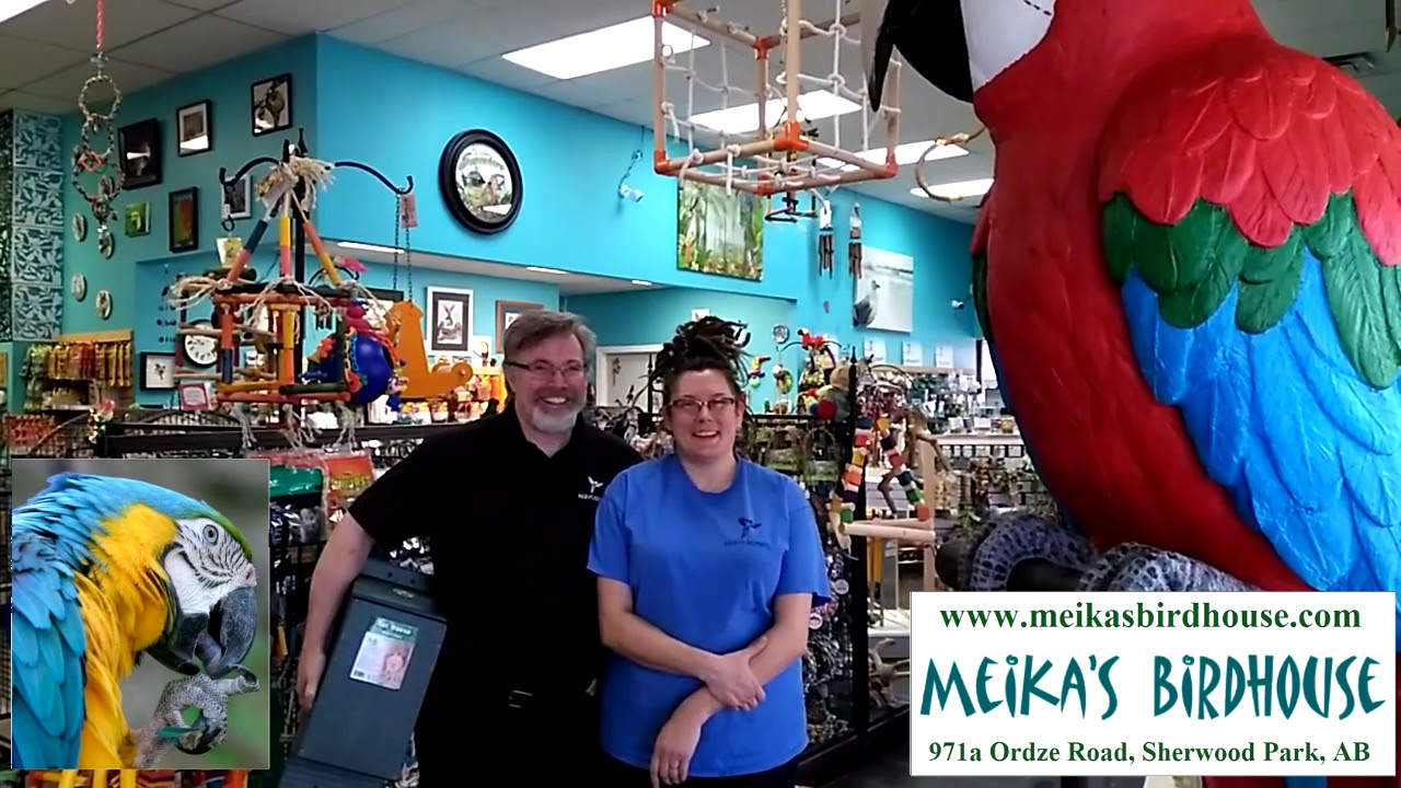 Meikas Birdhouse Commercial