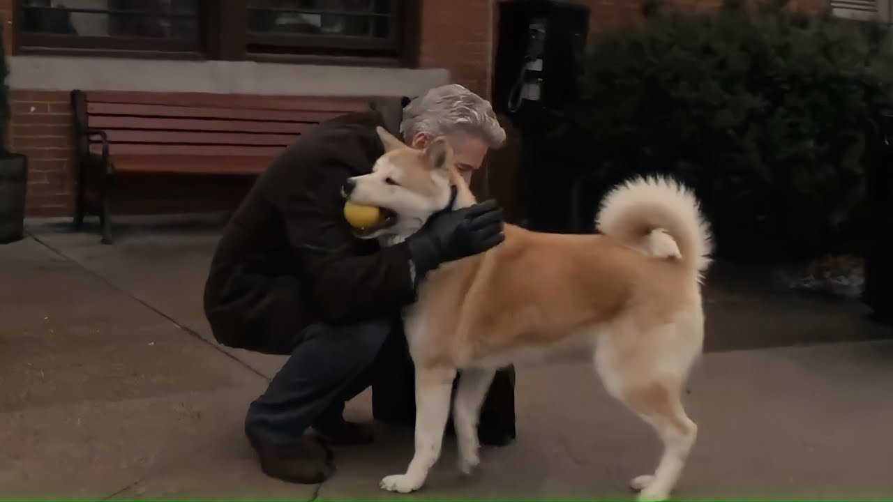 كلب وفي، بيفضل مستني صاحبه اللي مات لمدة ١٠ سنين في نفس المكان اللي كان بيقابله فيه زمان😥 Hachi