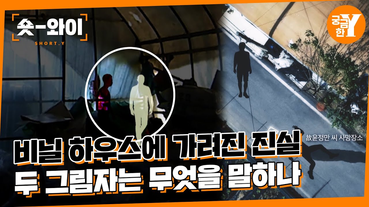 [Y 654회 FULL영상] 비닐 하우스 뒤 그림자가 말하는 진실 | 숏와이