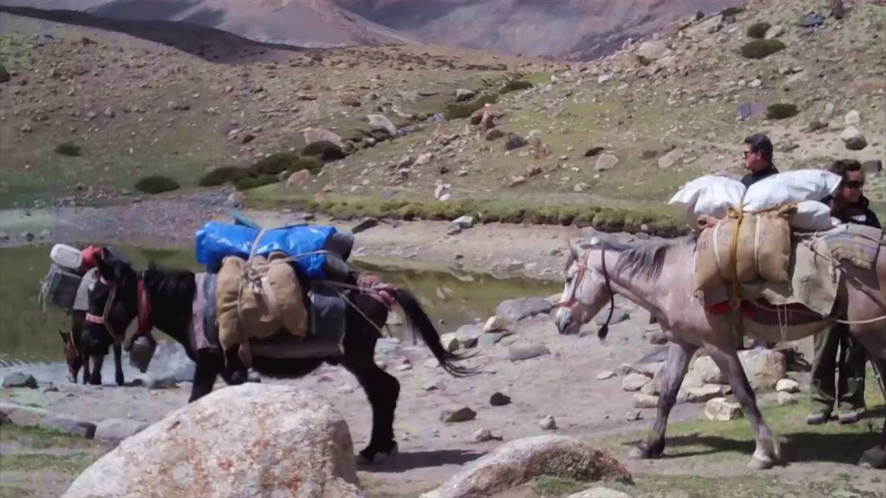Trek to Markha valley Ladakh