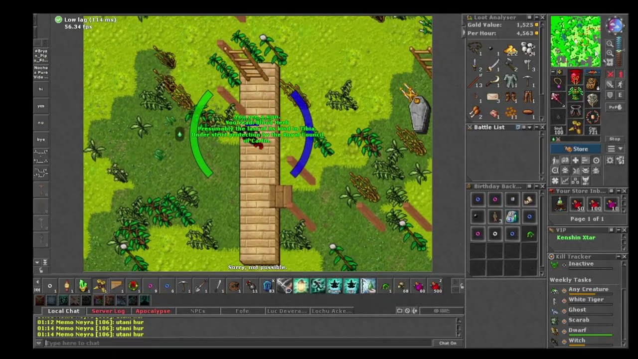 Amazon Hunt + Loot + Exp con Pipo Filippo Olsen, aqui estamos y no nos vamos nochez