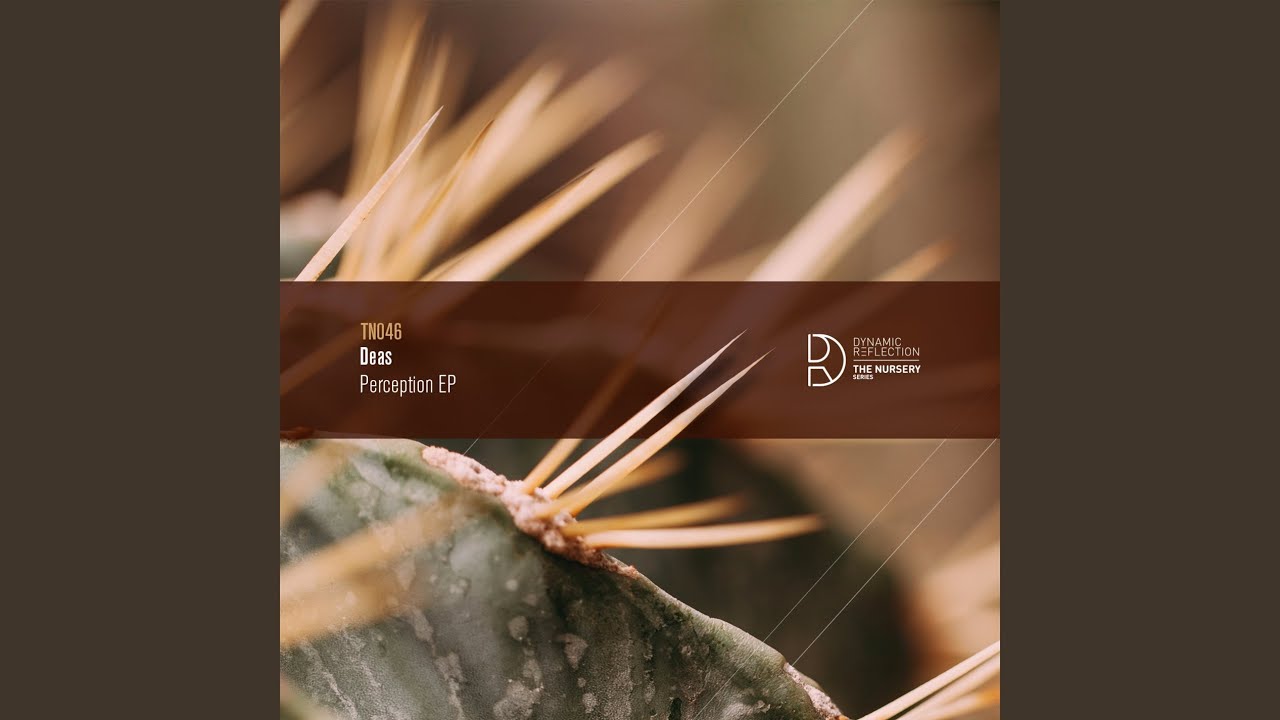 Switcher (Original Mix)