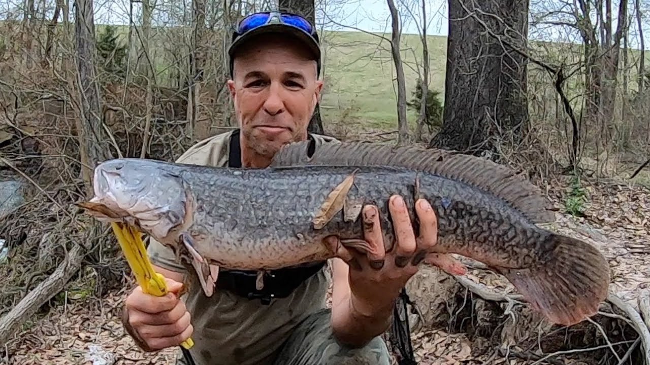 Cut Bait Is Still The Best Option