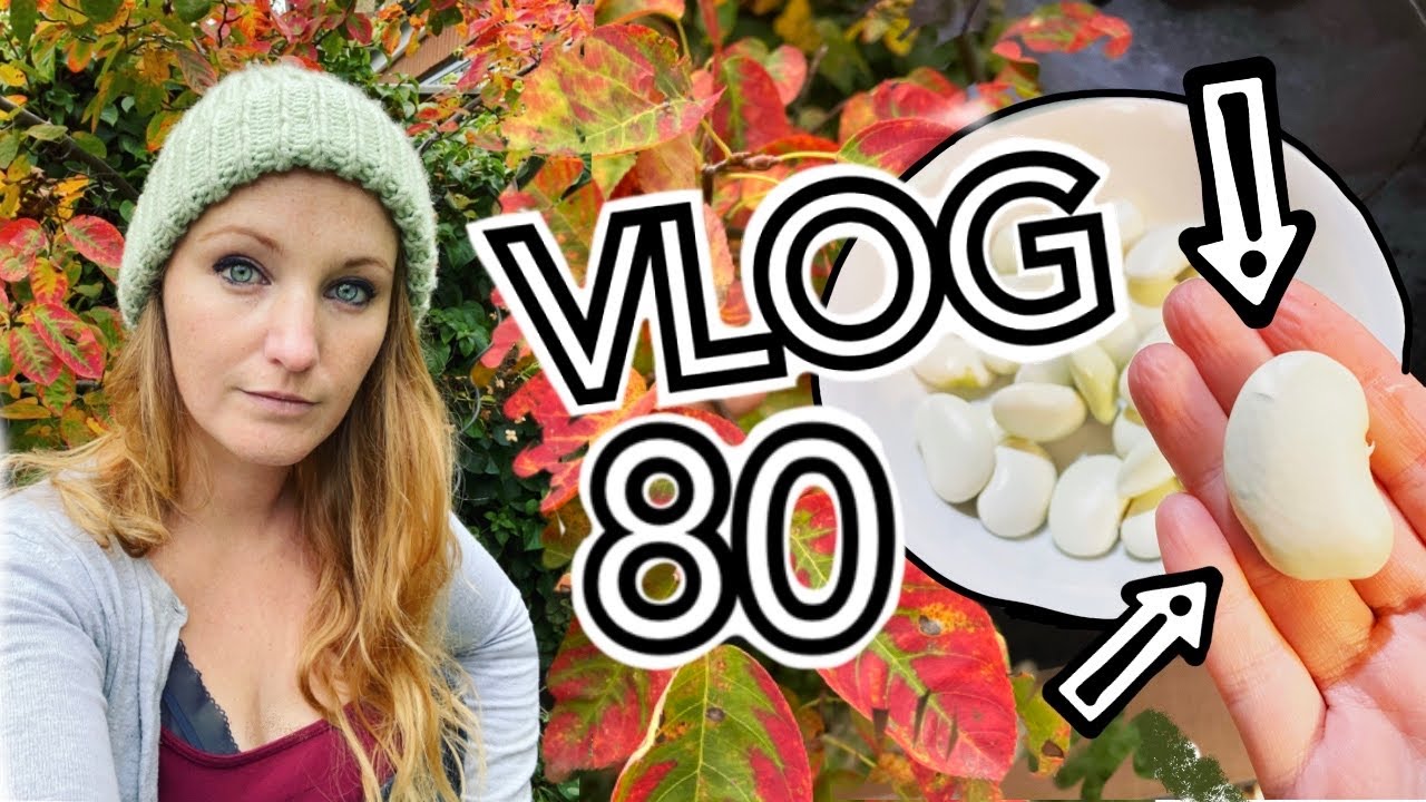 Things are looking a lot like Autumn on the Allotment! || Plot 37 (Episode 80)