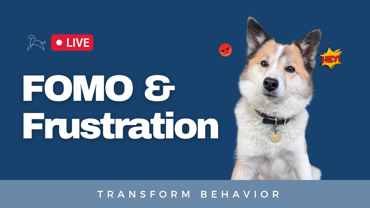 FOMO & Frustration