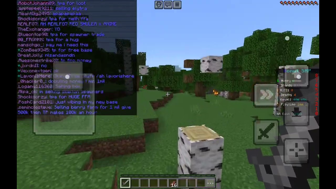 Back in Minecraft donut smp