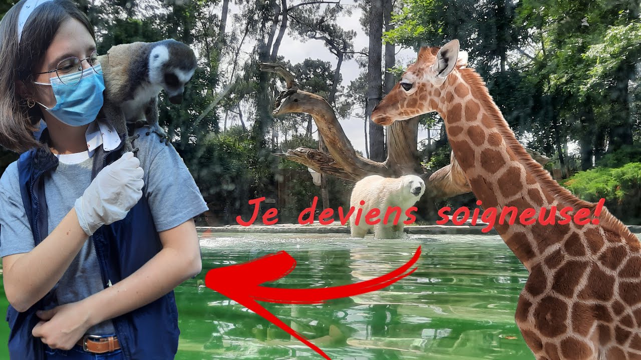 Une journée au zoo de la Flèche avec moi😇