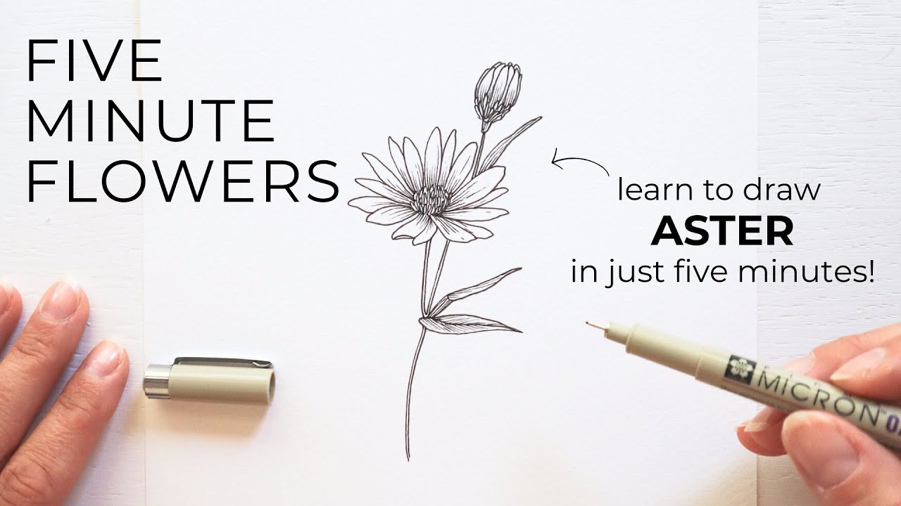 Five Minute Flowers ✿ ASTER | Учимся рисовать цветы чернилами