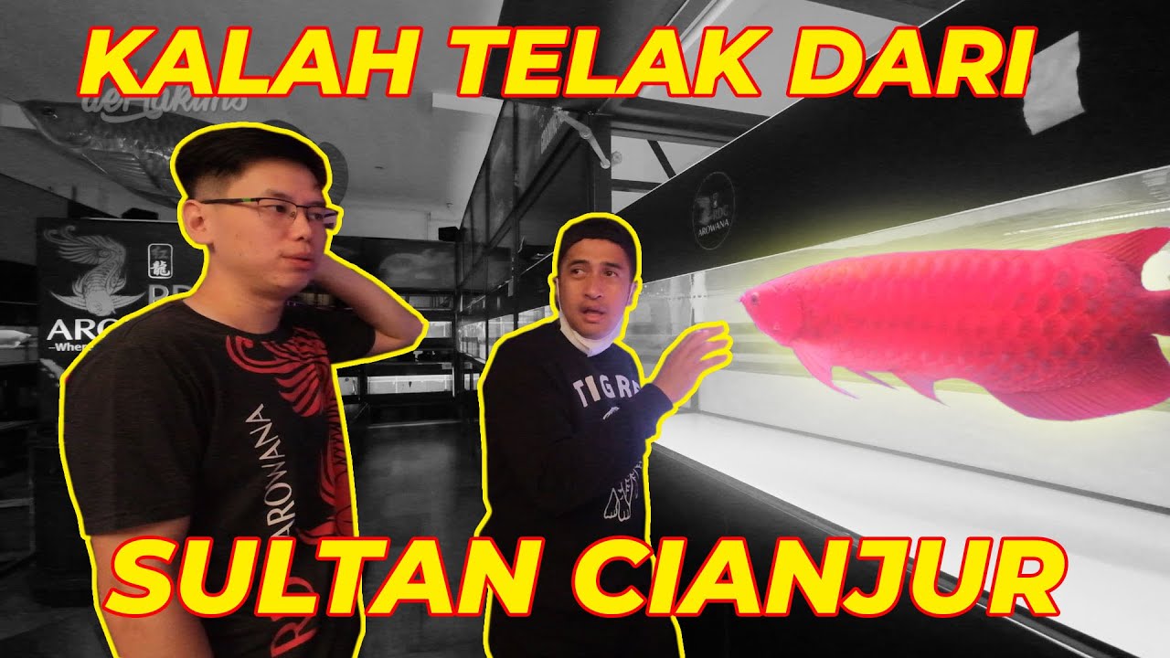 THIS IS CRAZY!! SULTAN CIANJUR'S ANIMAL COLLECTION