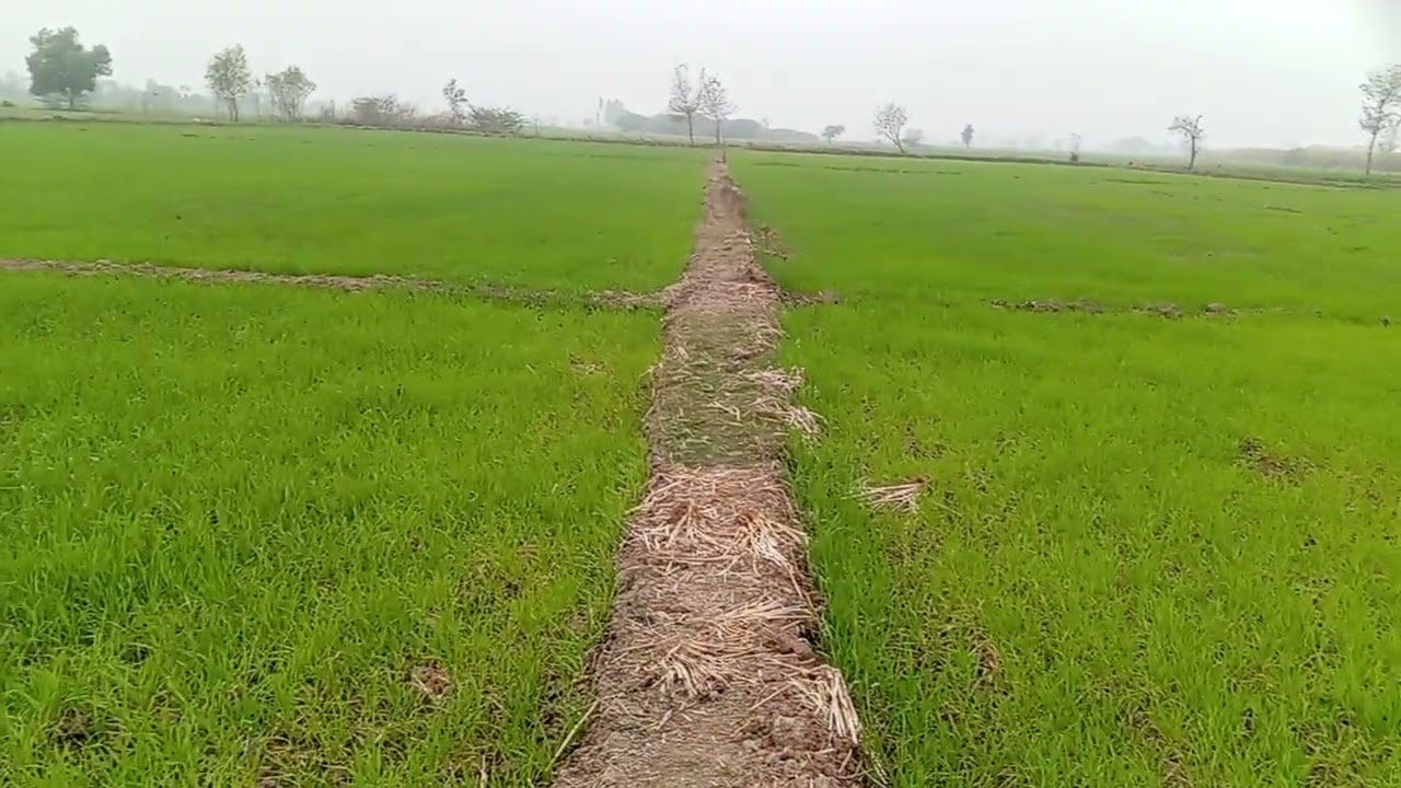 #fypage #villagelife #newcontents #butiful #subscribers #videoshorts