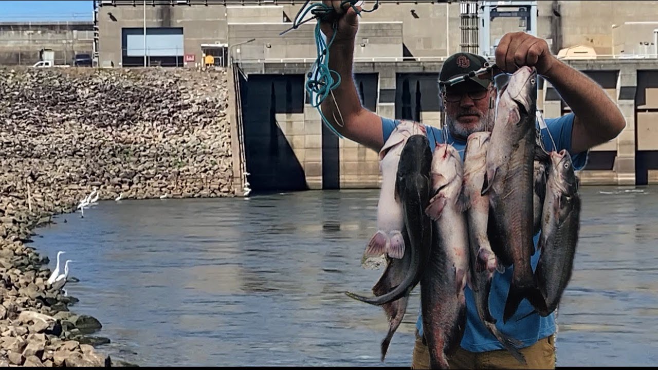 Catfishing below the dam