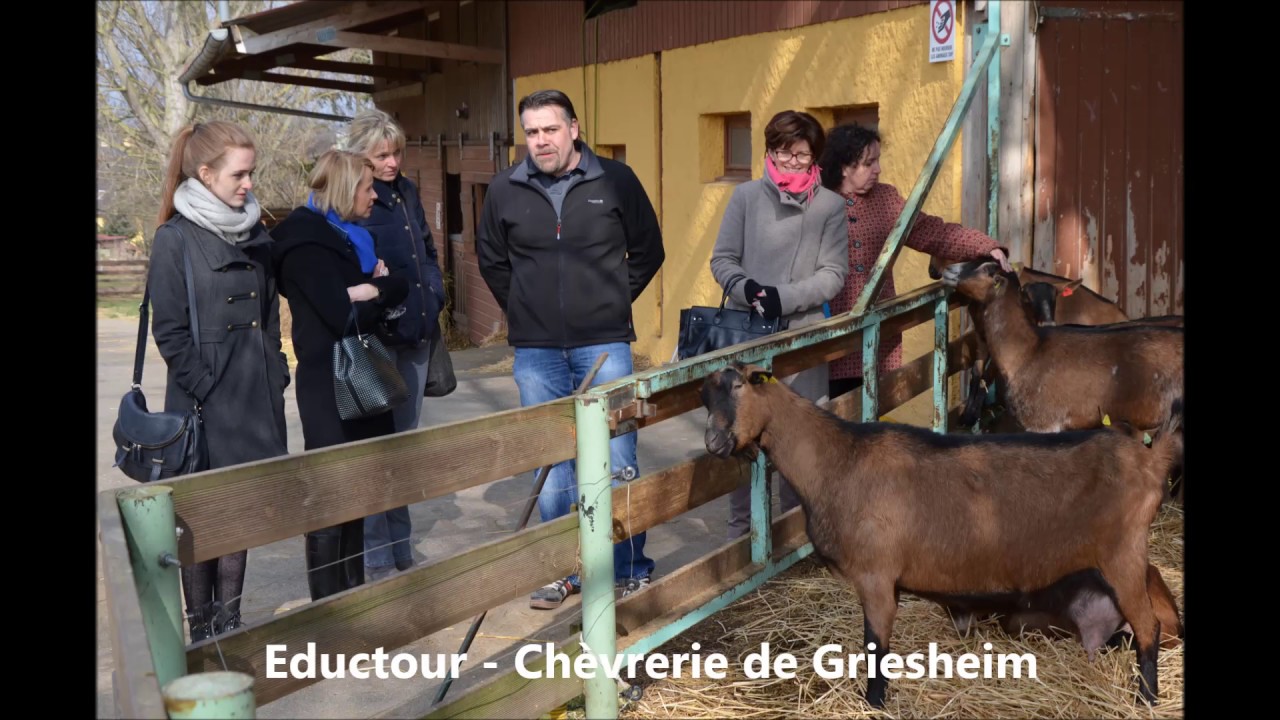 Voeux 2017 de l'Office de Tourisme de Rosheim