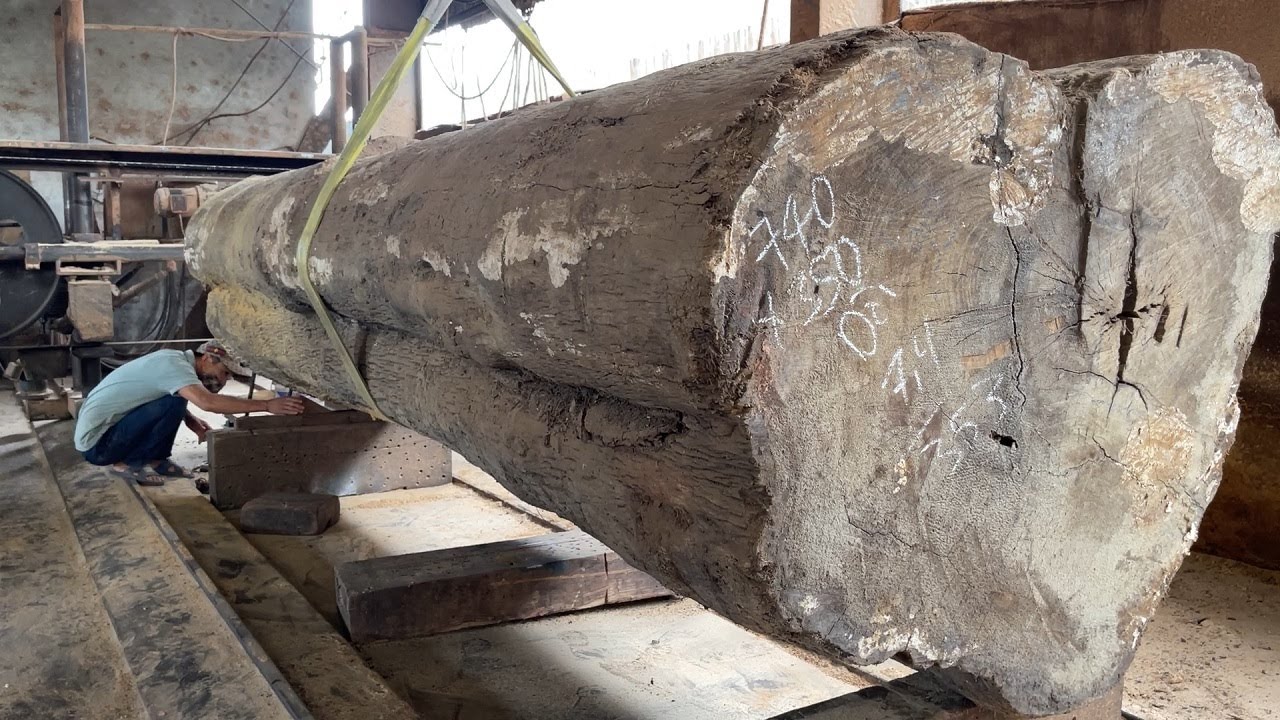 Wood Sawing Process – The Carpenter's Great Process of Choosing and Cutting Wood