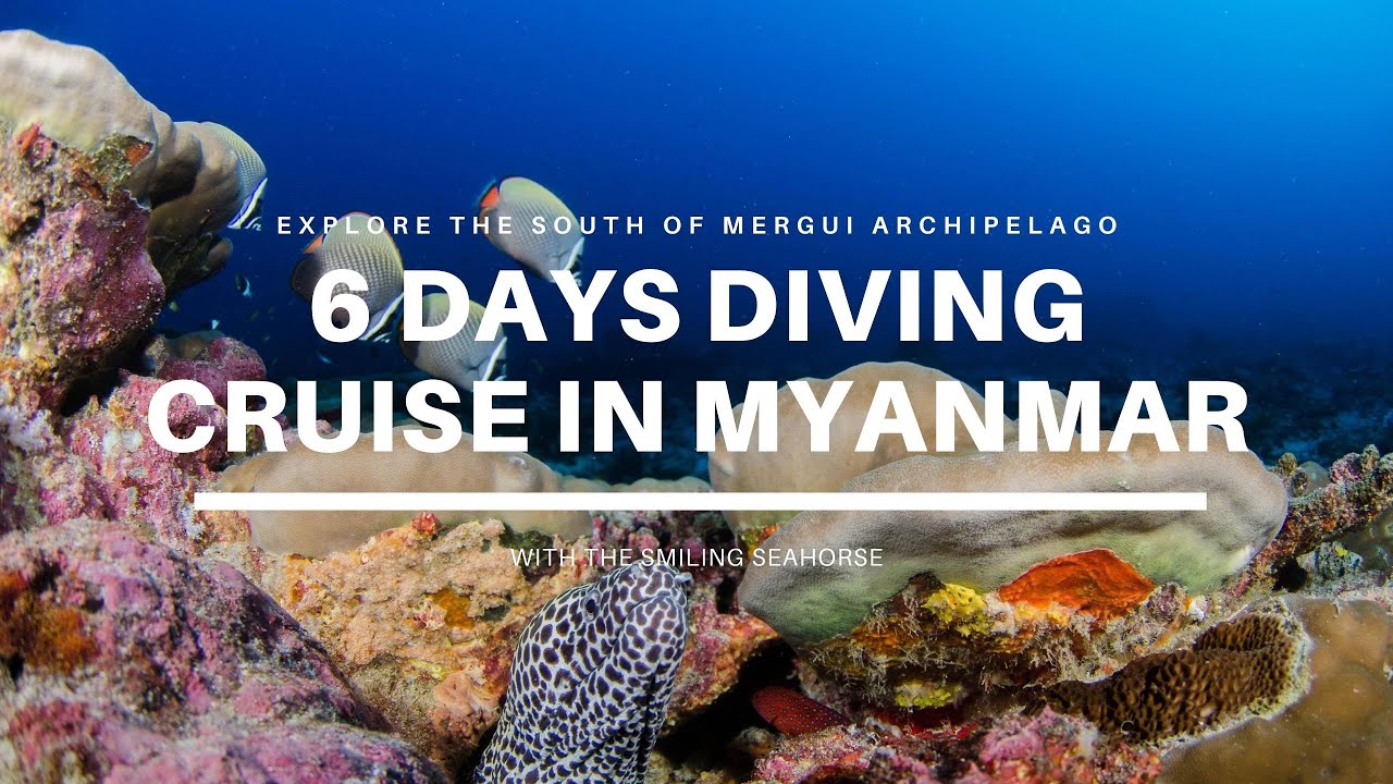 Explore the South of Mergui : 6 days diving trip in Myanmar